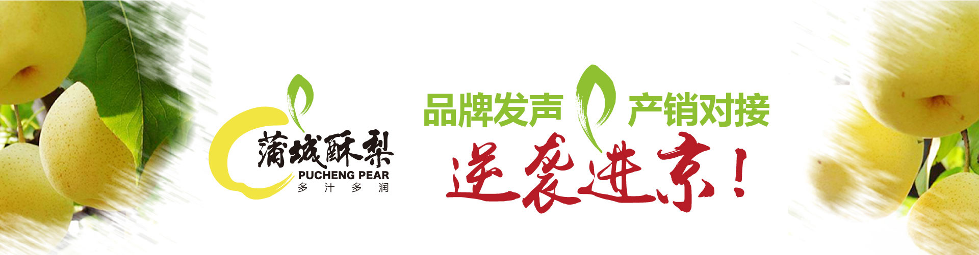戰(zhàn)略賦能區(qū)域公用品牌，點(diǎn)亮區(qū)域經(jīng)濟(jì)