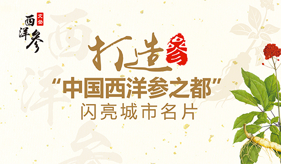 文登西洋參產(chǎn)業(yè)：打造“中國西洋參之都”閃亮城市名片！